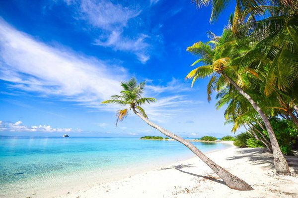 Où participer à une expédition en raquettes dans le parc national de Yellowstone, USA?